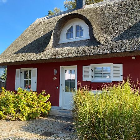 Ferienhaus Greta Glowe Kültér fotó